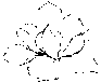 Logo Lala Beauty